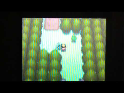 Pokemon Soulsilver Walkthrough Part 9