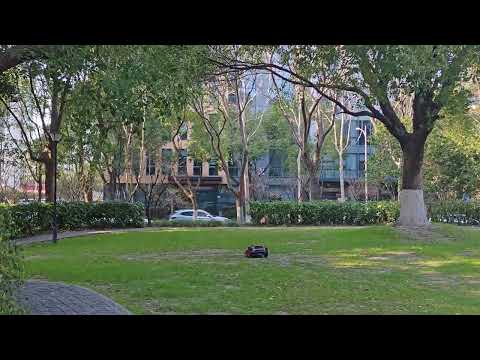 No Signal Loss Working Under Tree