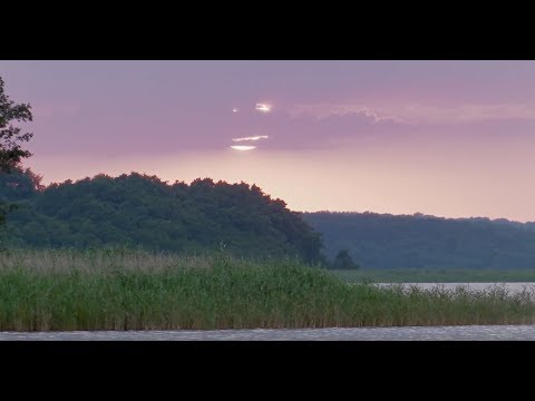 Friedemann - Seesucht (offizielles Video)