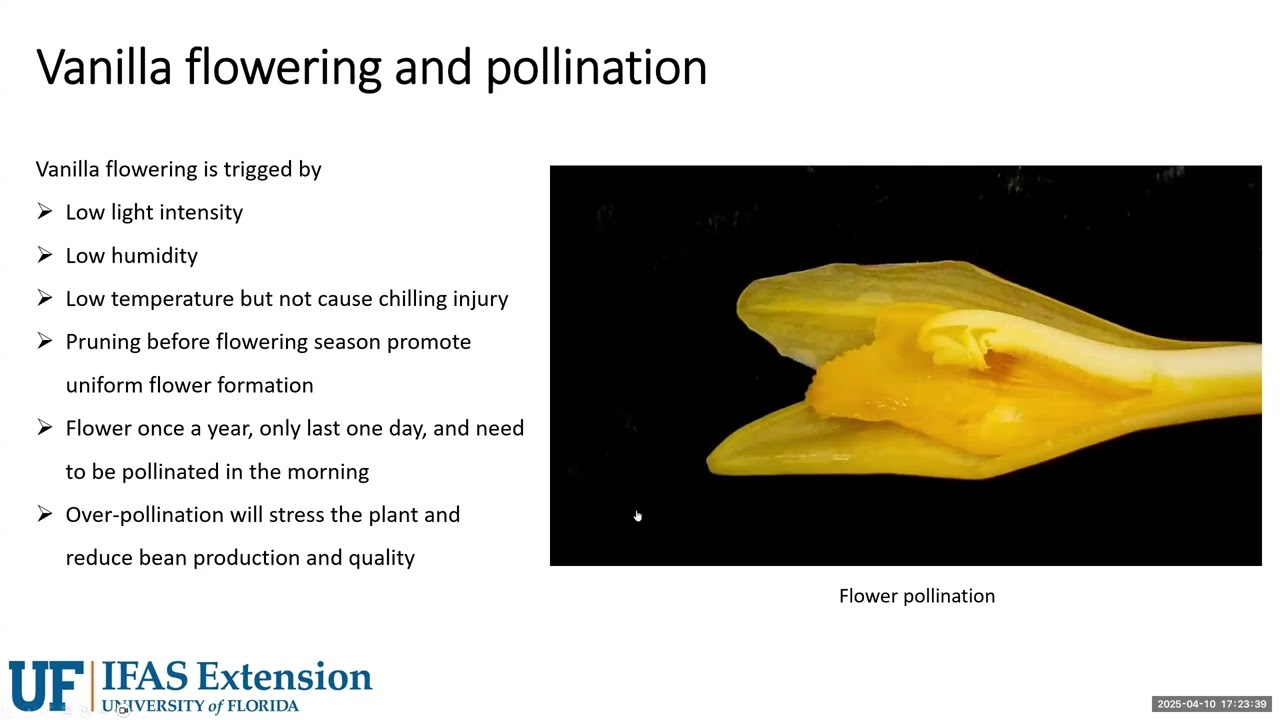 Vanilla workshop 2025