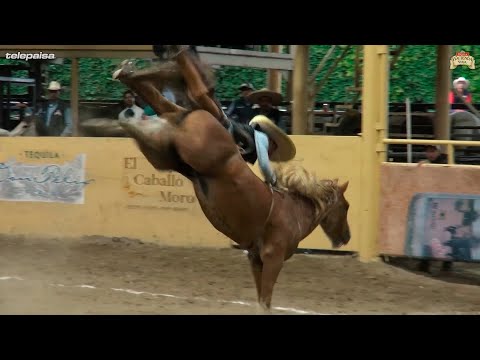 3 CHAMPION FOLLS at the 2022 MILLONARIO THV