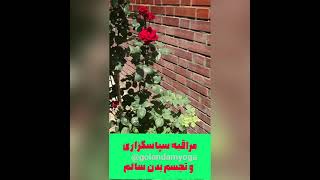 بامدیتیشن بدن بیمارمون روسالم کنیم