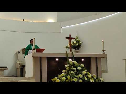 Santa Misa, jueves II del Tiempo Ordinario. San Vicente, diácono y mártir.