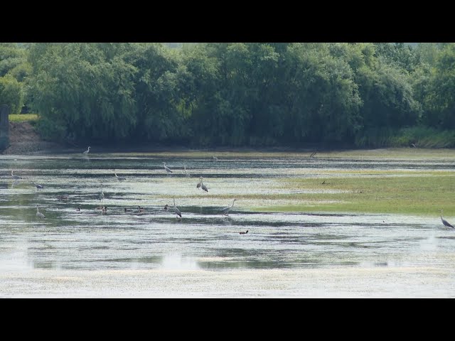 Ангарская нефтехимическая компания продолжает участвовать в экологических проектах
