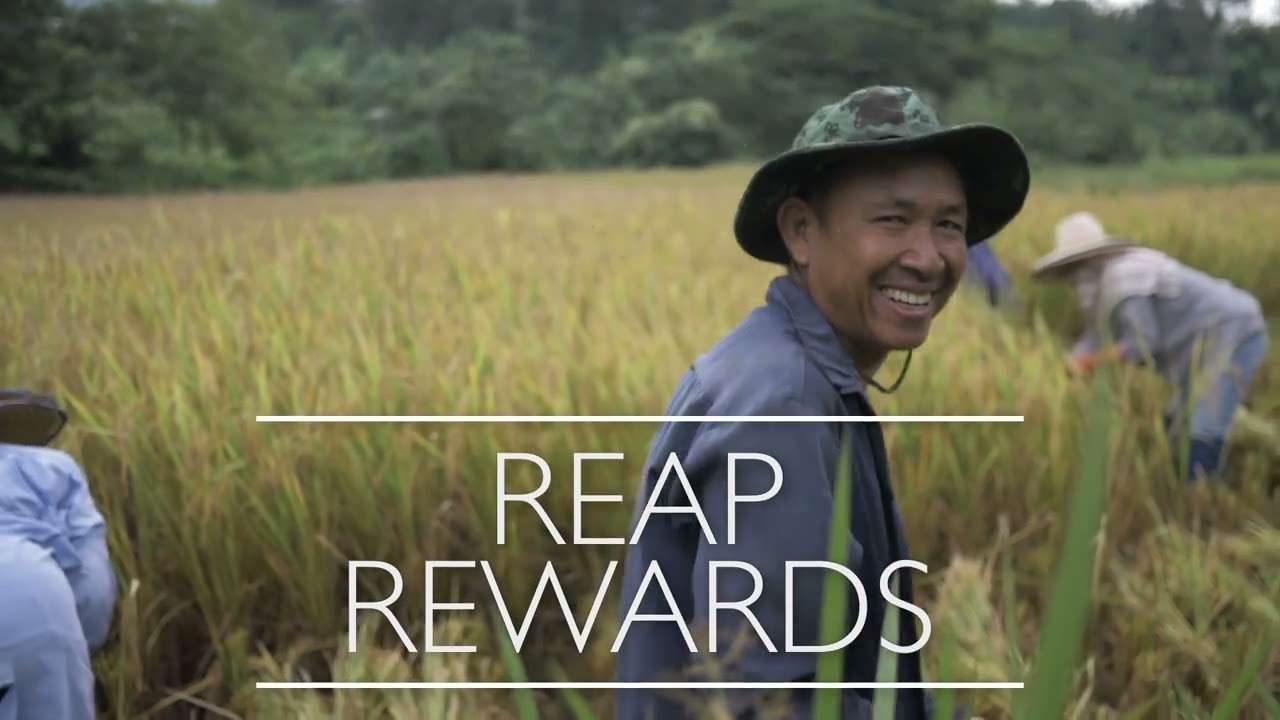 The AgriCarbon programme