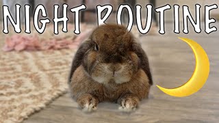 Summer Bunny Night Routine 🌙
