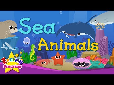 Sea Animals - Creatures That Live in the Sea