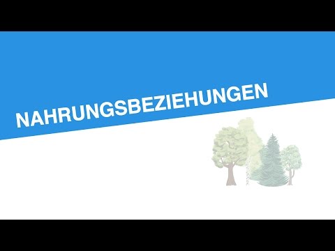 NAHRUNGSBEZIEHUNGEN | Biologie | Ökologie