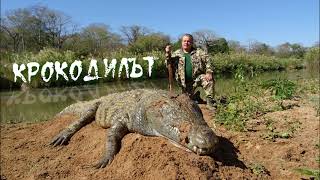 КРОКОДИЛЪТ