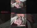 Fandy On Twitch Fandy Gives Birth On Twitch To Luna The Youngest Live Streamer