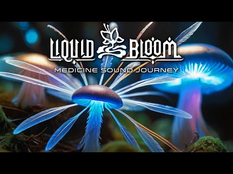 Medicine Sound Journey | 4:44 Hours of Transformational Music & Visuals
