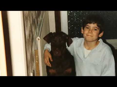 Lifers (2012) Hmp gartree