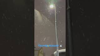 Snow Coming Down in Tromsø, Norway ☃️ | Robdoesitall