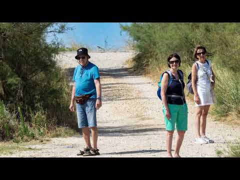 Da Porto Tolle alla Sacca degli Scardovari: trekking nel cuore segreto del Delta del Po