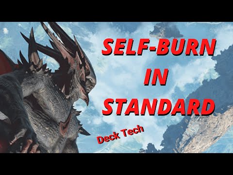 Scourge of the Skyclaves in Standard Deck Tech with HamHocks42