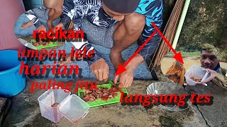 Download lagu cara meracik umpan ikan lele.air keruh mp3