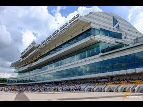 2013 Longines Singapore Gold Cup Pre Race
