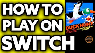 How To Play Duck Hunt on Nintendo Switch? (2024)