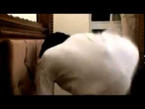 MUSAROVA BIGMAN (OFFICIAL VIDEO) Winky D