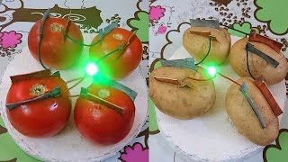 How to Produce Electricity using Tomato and Potato