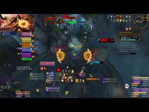 +23 Shrine of the Storm Protection Paladin POV [Forti, Sanguine, Grievous]