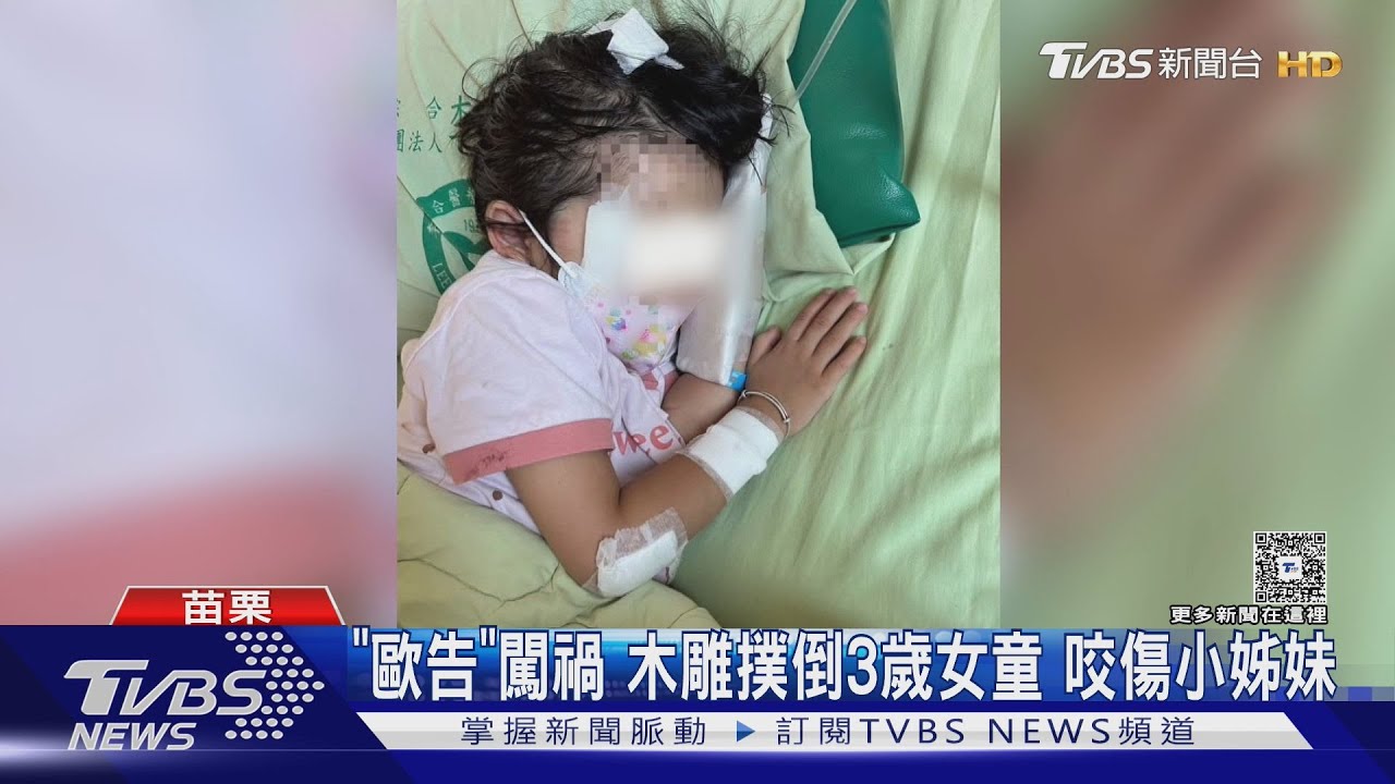 未繫繩黑狗闖騎樓撲倒幼童!媽媽崩潰救援 目擊者:太可怕了