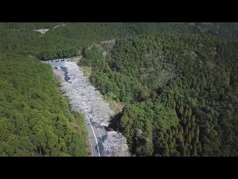 アネスト岩田ターンパイク箱根