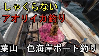 葉山ボート釣り　アオリイカ
