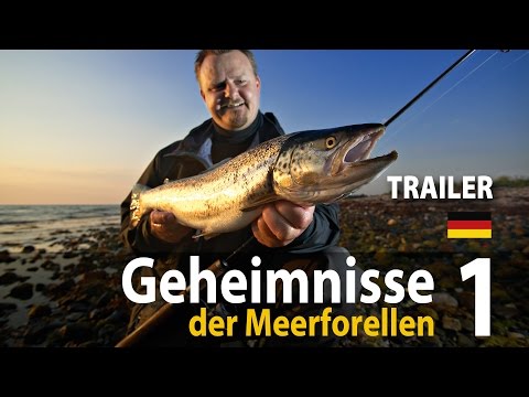 Geheimnisse der Meerforellen 1 Spinnfischen • Trailer