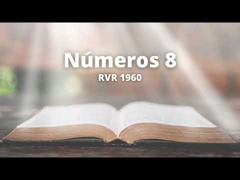 Números 8 - Reina Valera 1960 (Biblia en audio)