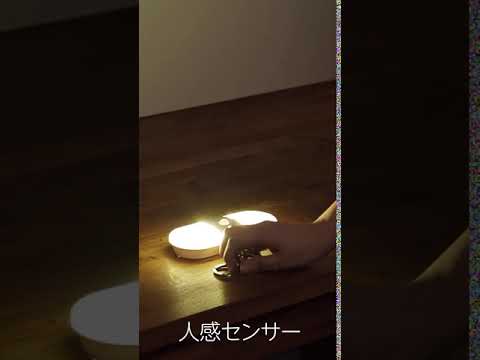 乾電池式置き型人感明暗ナイトライト｜YAZAWA CORPORATION