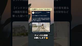 ㊗️4万再生‼️これ増やしたらどうなるの？ #政治 #政治ニュース #時事ネタ