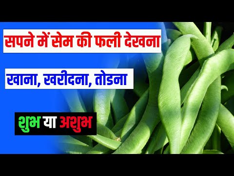 Seeing Sesame pods in the dream || Eating or breaking Sesame pods in the dream | Seeing runner be...