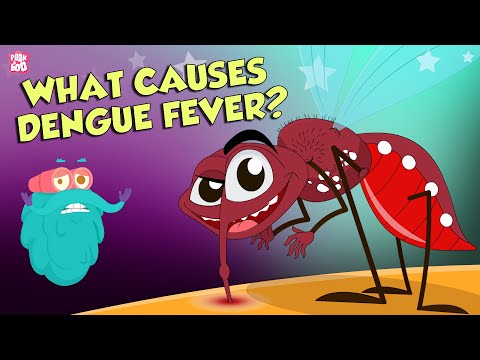 What Causes Dengue Fever? | DENGUE | The Dr Binocs Show | Peekaboo Kidz