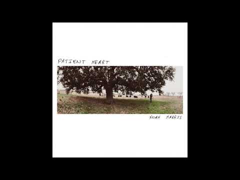 Noah Harris "Cry Stampede"