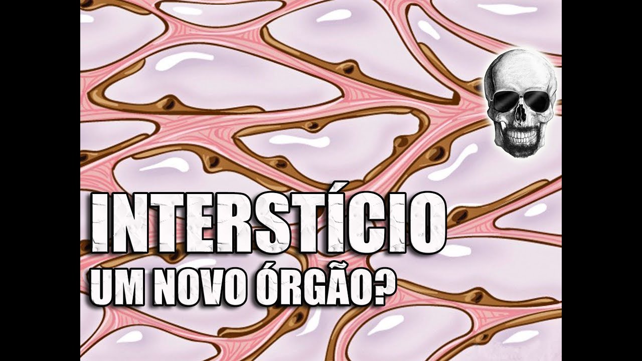 O Que é Interstício Anatomia