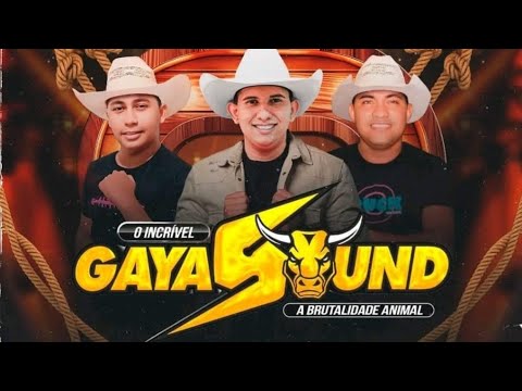 GAYA SOUND🤘 /DJ LUCAS AO VIVO FESTIVIDADE DO ESPÍRITO SANTO ARAXITEUA BAIXO ACARÁ