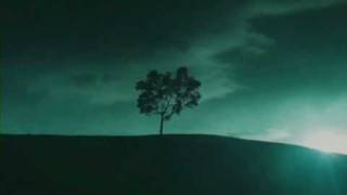 ENDLESS (Dave Matthews Band - When The World Ends)