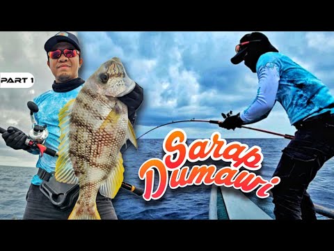 P1-New Spot Unlocked - EP1433