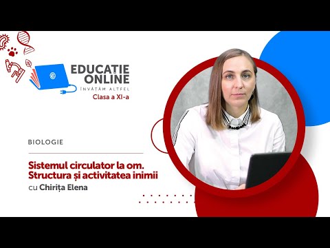 Biologie, Clasa a XI-a, Sistemul circulator la om. Structura și activitatea inimii
