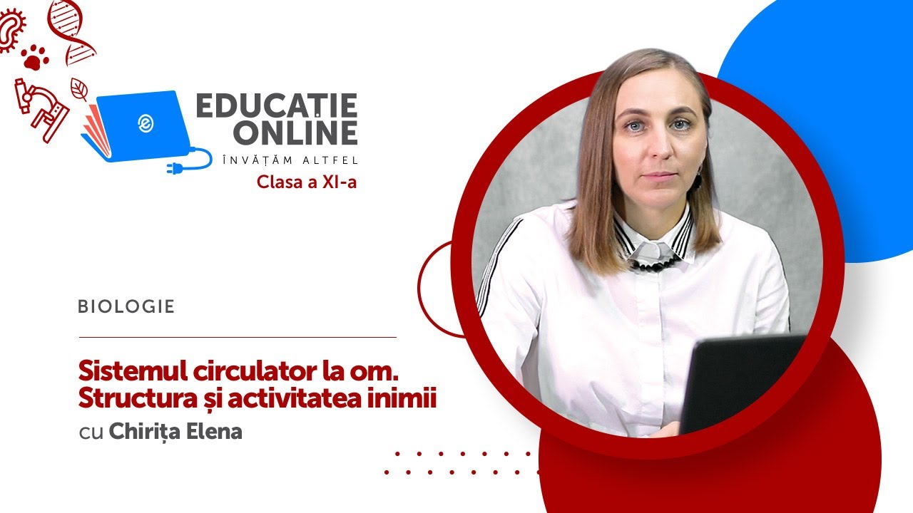 Biologie, Clasa a XI-a, Sistemul circulator la om. Structura ?i activitatea inimii