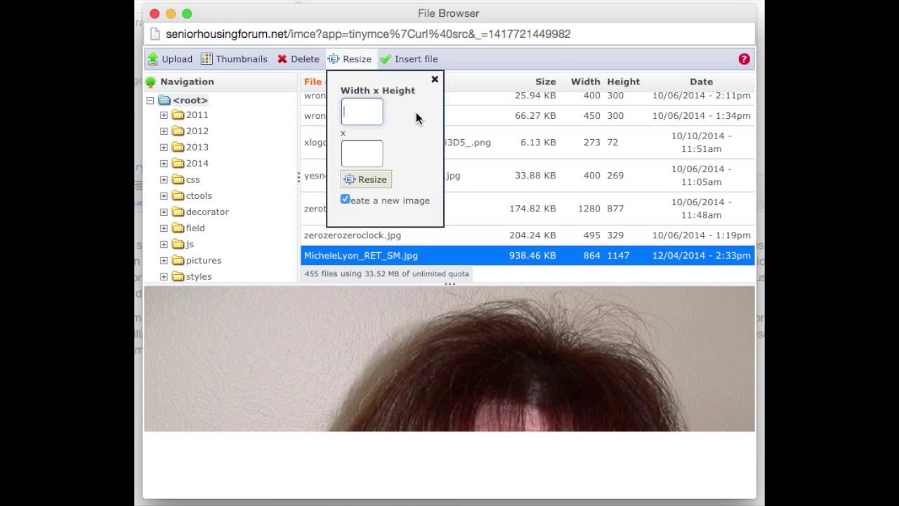 Drupal CMS Editor - File Browser Tutorial