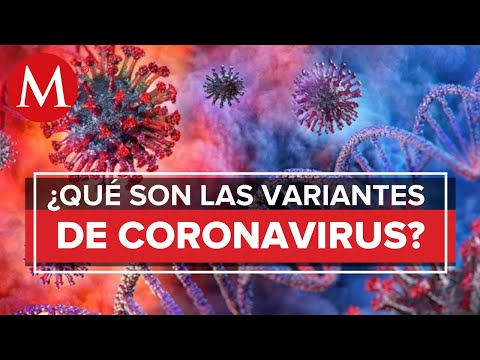 What is known about the Covid-19 variants?