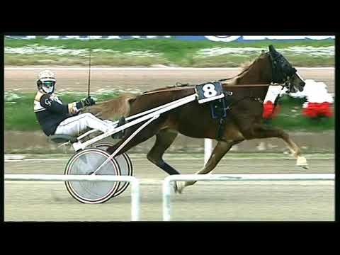 Trotto 13/11/2020 - 2ª corsa