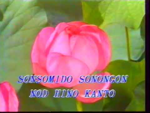 Sonsomido - Richard gaisah