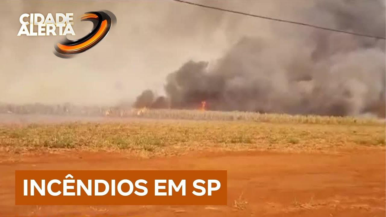 São Paulo: 36 cidades estão em alerta máximo para queimadas