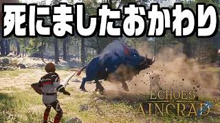 死んだらセーブデータが消える世界で冒険する『 Echoes of Aincrad 』