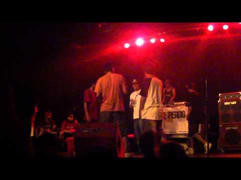 Bulky Marquillo vs Coto Negro Juan  A Cara De Perro Zoo