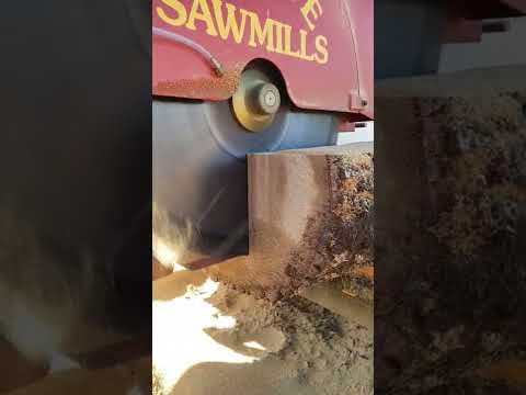 Mahoe Sawmill in action! Oak 2x8s. #sawmill #woodworking #timberframe #satisfying #construction
