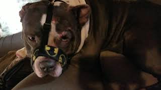 I just want you to love me.